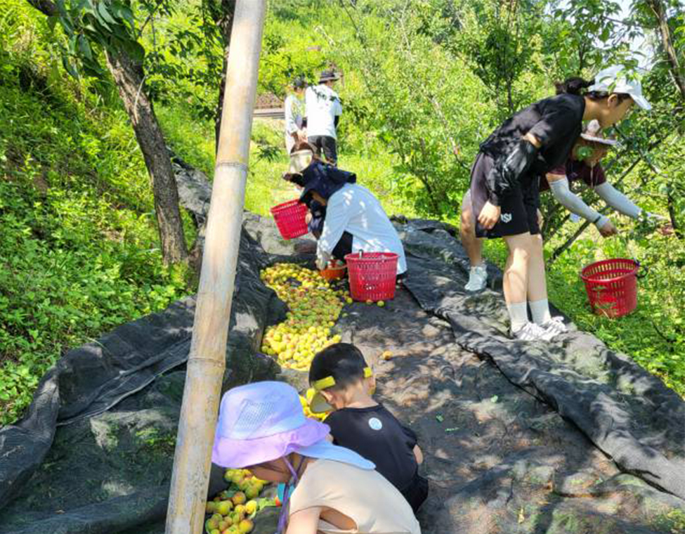 기존 농장소개 사진